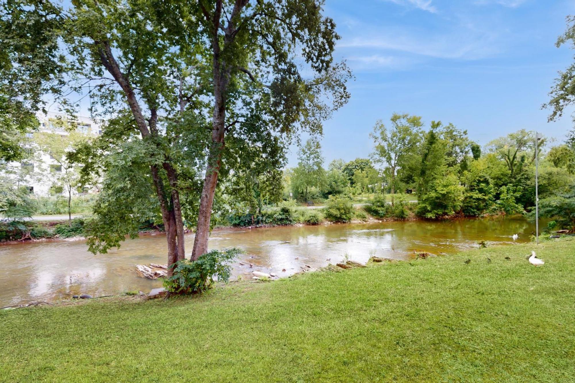 River Paradise Пиджен-Фордж Номер фото